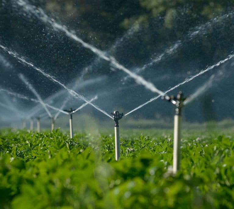 a close up of a green field